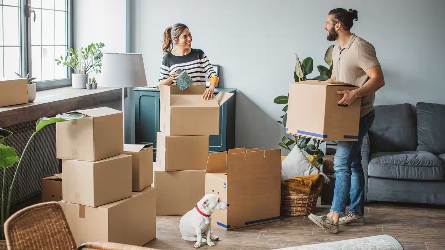 Exploring Moving Company Sales Jobs: A Comprehensive Guide