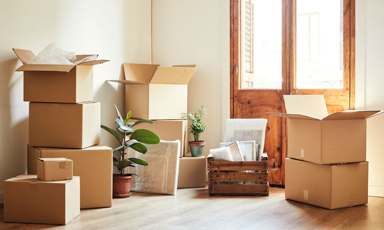 Navigating Your Move: A Comprehensive Guide to Moving Services